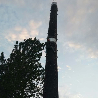 La torre bionica del telefono cellulare del cammuffamento di Q345b ha galvanizzato l'albero falso